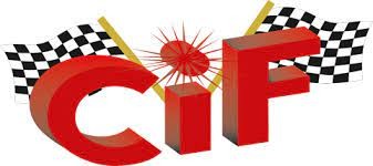 59502-S-02.jpg CHIAVE REGOLABILE A RULLINO - 8""/200 MM